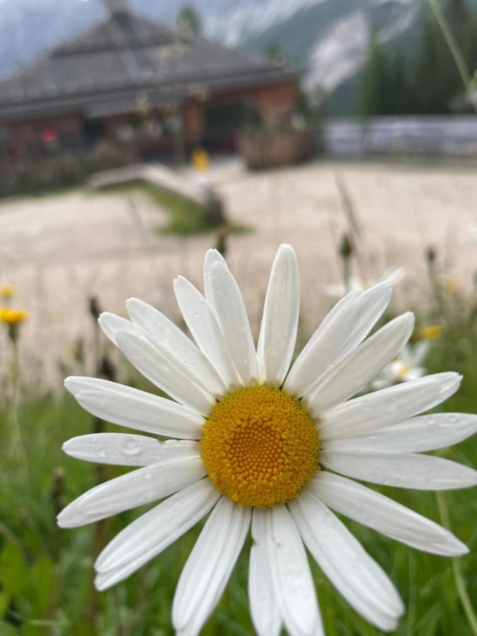 Baita Deona Cibiana Exteriér fotografie