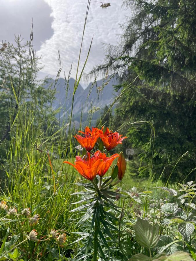Baita Deona Cibiana Exteriér fotografie